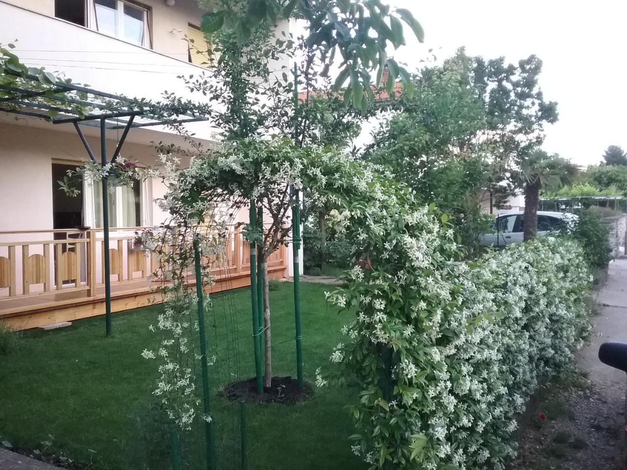 Apartment Mirjana Fažana Esterno foto